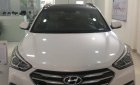 Hyundai Santa Fe Xăng 2018 - Bán Santa Fe xăng full, dầu full các màu hot hiện đang có sẵn ạ