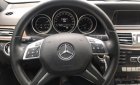 Mercedes-Benz E class E200 2014 - Bán Mercedes E200 sản xuất năm 2014