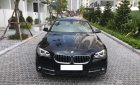 BMW 5 Series 520i 2015 - Bán BMW 5 Series 520i đời 2016, màu đen, nhập khẩu nguyên chiếc