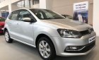 Volkswagen Polo 2018 - Bán ô tô Volkswagen Polo nhập khẩu nguyên chiếc từ Đức