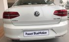 Volkswagen Passat Bluemotion 2018 - Bán Volkswagen Passat Bluemotion 2018 nhập khẩu nguyên chiếc từ Đức