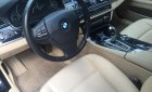 BMW 5 Series 520i 2015 - Bán ô tô BMW 5 Series 520i năm 2015, màu đen, xe nhập