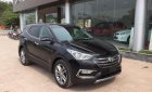 Hyundai Santa Fe 2018 - Bán ô tô Hyundai Santa Fe đời 2018, màu đen