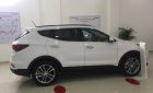 Hyundai Santa Fe Xăng 2018 - Bán Santa Fe xăng full, dầu full các màu hot hiện đang có sẵn ạ