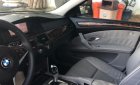 BMW 5 Series 530i 2008 - Bán BMW 5 Series 530i 2008, màu xám, xe nhập xe gia đình