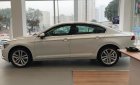 Volkswagen Passat Bluemotion 2018 - Bán Volkswagen Passat Bluemotion 2018 nhập khẩu nguyên chiếc từ Đức