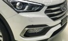 Hyundai Santa Fe 2018 - Bán xe Hyundai Santa Fe đời 2018, màu trắng