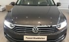 Volkswagen Passat 1.8 Bluemotion 2018 - Bán xe Volkswagen Passat 1.8 Bluemotion sản xuất 2018, màu xám, nhập khẩu