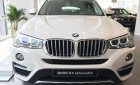 BMW X4 xDrive20i 2017 - Bán BMW X4 xDrive20i nhập khẩu Đức - 0909996626