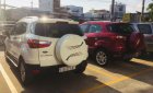 Ford EcoSport Titanium 2018 - Bán Ford EcoSport 1.5L Titanium 2018 - Giao ngay
