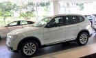 BMW X3 xDrive20i 2017 - Cần bán BMW X3 xDrive20i năm sản xuất 2017, màu trắng, xe nhập