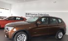 BMW X3 xDrive20i 2017 - Bán ô tô BMW X3 năm 2017, màu nâu, nhập khẩu nguyên chiếc