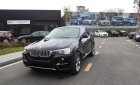 BMW X4 xDriver20i 2017 - Cần bán BMW X4 xDriver20i đời 2017, màu đen, xe nhập, giá tốt