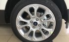 Ford EcoSport Titanium 2018 - Đại Lý xe Ford tại Yên Bái cung cấp Ecosport 2018 đủ phiên bản, đủ màu giao ngay LH: 0941921742