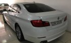 BMW 5 Series 523i 2010 - Bán xe BMW 5 Series 523i đời 2010, màu trắng, xe nhập 