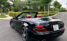 Mercedes-Benz SL class SL500 2007 - Bán Mercedes SL500 đời 2007, màu đen, xe nhập