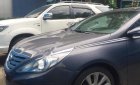 Hyundai Sonata 2010 - Bán ô tô Hyundai Sonata năm sản xuất 2010, màu bạc, nhập khẩu xe gia đình