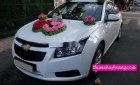 Chevrolet Cruze 2011 - Bán Chevrolet Cruze năm 2011, màu trắng chính chủ, giá tốt