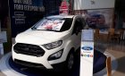 Ford EcoSport Ambiente 1.5 2018 - Bán Ford EcoSport 2018, cú sút ưu đãi 10 triệu, khuyến mãi hấp dẫn nhất, xe đủ màu giao ngay