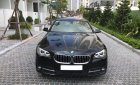 BMW 5 Series 520i 2015 - Bán BMW 5 Series 520 đời 2016, màu đen, nhập khẩu