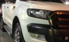 Ford Ranger   Wildtrak 4x4AT   2016 - Bán ô tô Ford Ranger Wildtrak 4x4AT 2016, màu trắng số tự động 