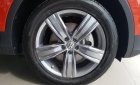 Volkswagen Tiguan Allspace 2018 - Cần bán xe Volkswagen Tiguan Allspace 2018, SUV 7 chỗ màu độc, giá tốt, LH: 0901 933 522 (Tường Vy)