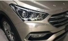 Hyundai Santa Fe   2018 - Cần bán xe Hyundai Santa Fe đời 2018, màu ghi vàng 