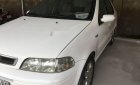 Fiat Albea 2004 - Bán ô tô Fiat Albea 2004, màu trắng