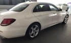 Mercedes-Benz E class E250 2017 - Bán Mercedes Benz E250 trắng - xe chạy lướt - giá mềm