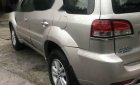 Ford Escape 4x4 XLT 2008 - Bán Ford Escape 4x4 XLT sản xuất 2008, màu hồng phấn