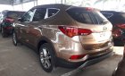 Hyundai Santa Fe 2018 - Bán Hyundai Santafe xăng đặc biệt, năm 2018, giá tốt giao ngay. LH 0973.160.519