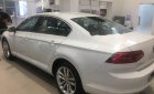 Volkswagen Passat  Bluemotion 2018 - Bán ô tô Volkswagen Passat Bluemotion sản xuất 2018, màu trắng