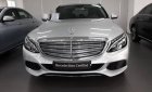 Mercedes-Benz C class 2017 - Bán Mercedes sản xuất năm 2017, màu xám