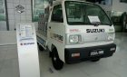 Suzuki Blind Van 2019 - Suzuki Blind Van 2020, giá chỉ 270 triệu, LH 0985.547.829