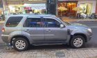 Ford Escape 4x4 2010 - Cần bán xe Ford Escape 4x4 sản xuất năm 2010, màu xám