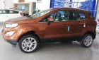 Ford EcoSport 1.5 MT Ambiente 2018 - Bán xe Ford EcoSport 1.5 MT Ambiente đời 2018, màu đen giá cạnh tranh