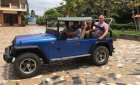 Jeep Wrangler   1980 - Cần bán lại xe Jeep Wrangler đời 1980, màu xanh lam giá cạnh tranh