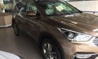 Hyundai Santa Fe 2018 - Cần bán Hyundai Santa Fe sản xuất 2018, màu nâu