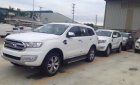 Ford Everest 2.0 biturbo 2019 - Lào Cai Ford, bán Ford Everest 2.0 biturbo 2019, nhập nguyên chiếc đủ màu giao ngay  