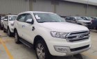 Ford Everest 2.0 biturbo 2019 - Lào Cai Ford, bán Ford Everest 2.0 biturbo 2019, nhập nguyên chiếc đủ màu giao ngay  