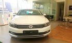 Volkswagen Passat S 2015 - Còn 1 chiếc duy nhất Volkswagen Passat S 2015, màu trắng, nhập khẩu chỉ 1 tỷ 160 triêu