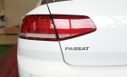 Volkswagen Passat S 2015 - Bán Passat S, xe nhập khẩu Đức, giá tốt nhất Việt Nam, LH: 0901933522 - Đừng mua xe khi chưa đọc tin này