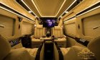 Ford Transit   Limousine  2018 - Bán Transit Limousine 10 chỗ VIP nhất hiện nay - Xe của Đàm Vĩnh Hưng (0934.635.227)