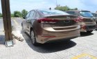 Hyundai Elantra  2.0AT  2018 - Cần bán Hyundai Elantra 2.0AT đời 2018, màu nâu, giá 659tr