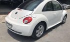 Volkswagen Beetle   1.6AT  2010 - Bán xe Volkswagen Beetle 1.6AT sản xuất năm 2010, màu trắng, nhập khẩu nguyên chiếc giá cạnh tranh