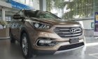 Hyundai Santa Fe   2018 - Bán Hyundai Santa Fe sản xuất 2018, màu nâu