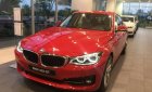 BMW 3 Series  320i GT  2016 - Cần bán BMW 3 Series 320i GT 2016, màu đỏ, xe nhập