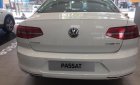 Volkswagen Passat bluemotion 2018 - Bán ô tô Volkswagen Passat bluemotion đời 2018, màu trắng, nhập khẩu