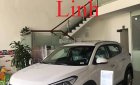 Hyundai Tucson 1.6 T-GDI 2018 - Hyundai Tucson "giảm đến 130 triệu đồng", hỗ trợ vay lên đến 90%, LH: Linh -0905.59.89.59