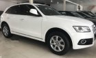 Audi Q5   2016 - Cần bán lại xe Audi Q5 sản xuất 2016, màu trắng, nhập khẩu